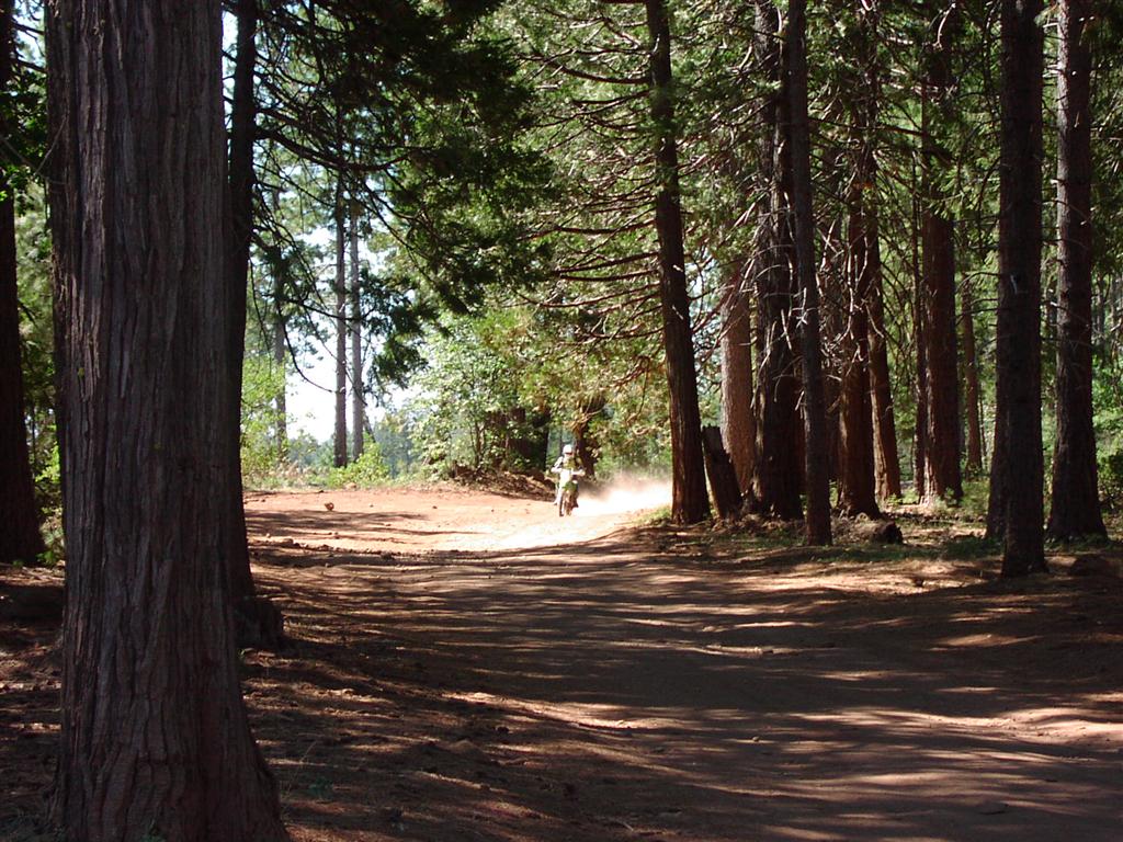Photo   3 (Large).JPG